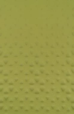 Sea To Summit Camp S.I. Regular Zelf Opbaasbare Slaapmat - 3.8cm - 780g - Groen -Buiten Kamperen 781x1200 1